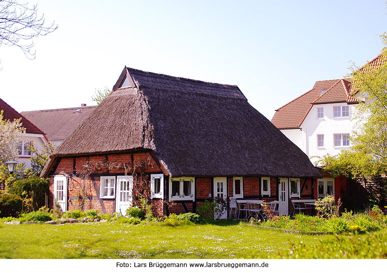 Ein Haus auf dem Darß in Zingst