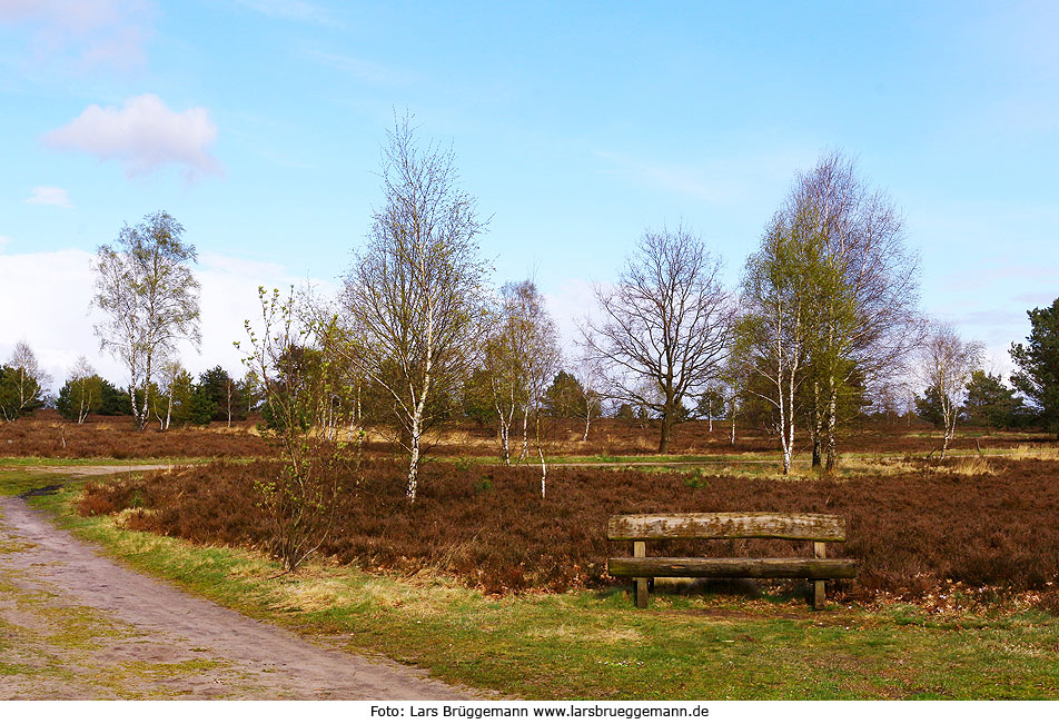 Die Lüneburger Heide bei Schneverdingen