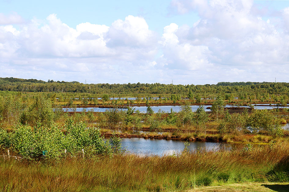 Das Himmelmoor bei Quickborn