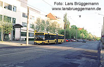 Ein Bus in Dresden der DVB - Foto: Lars Br&uuml;ggemann